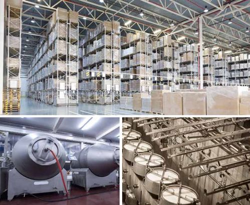 因為這個小東西，我被辦公室的美女們圍了一上午